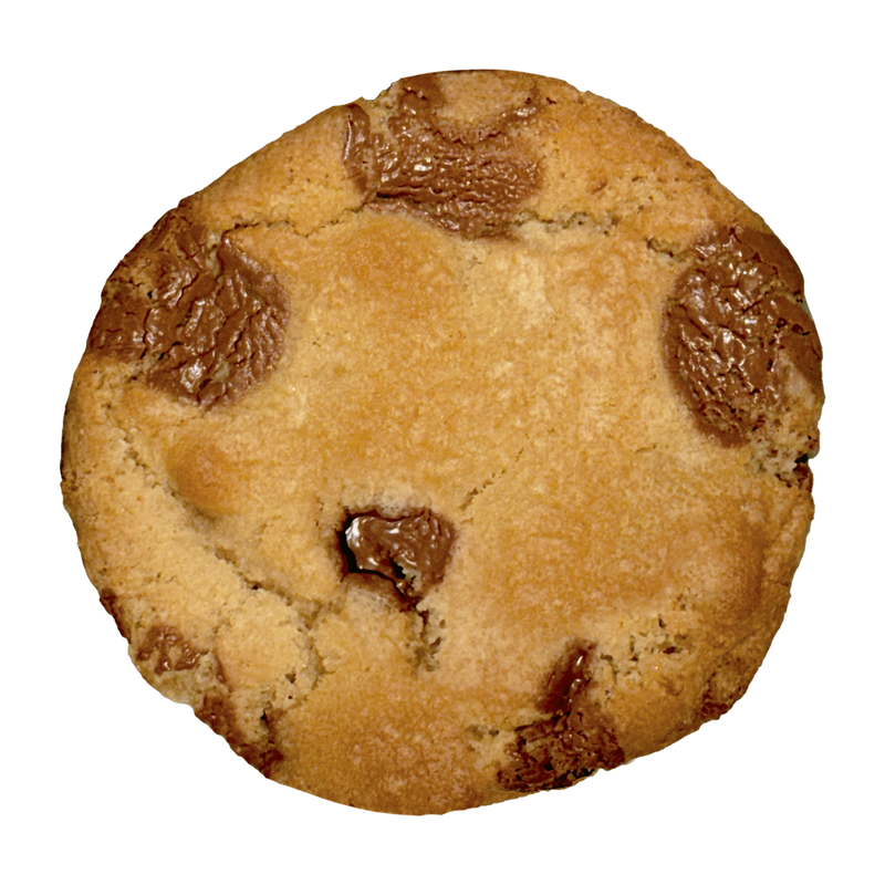 Choco Chip